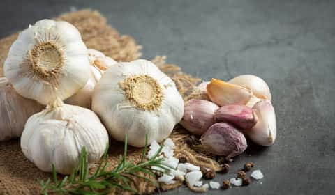 تصویر 4 از معرفی سیرخشک + بهترین قیمت خرید